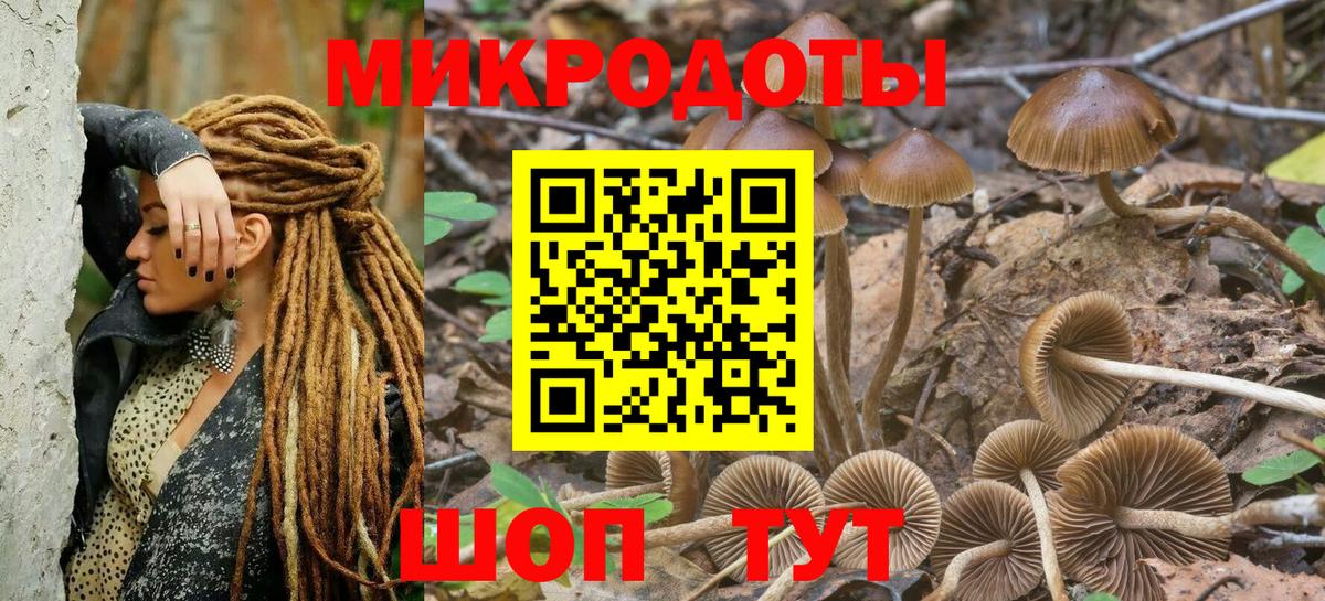 Галлюциногенные грибы GOLDEN TEACHER Сальск