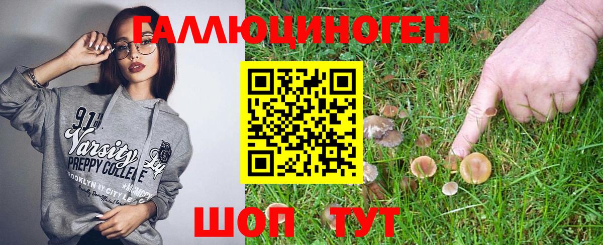 Сальск  Псилоцибиновые грибы MAGIC MUSHROOMS  Вход с VPN  Псилоцибиновые грибы Psilocybine cubensis 